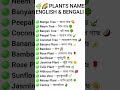Learn 15 common plant names in English and Bengali in this short and easy vocabulary video. 🌿