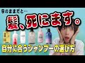 【髪の毛の入門編】シャンプー買ってから後悔しない為に知るべき事!自分に合うシャンプーの選び方を美容師が教えます👏🏽【市販でもOK!】