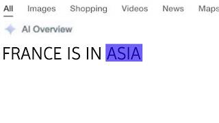 Stupid AI Responses