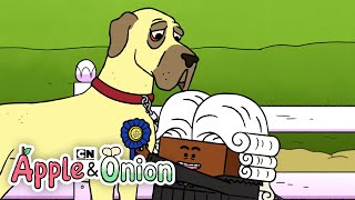 Apple and Onion Get a Horse Dog | Cartoon Network