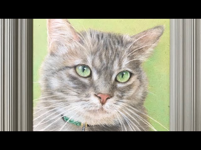 色鉛筆画（淡いむぎわら猫さん）の描き方 - YouTube