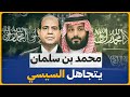 شاهد بن سلمان يتجاهل السيسي في القمة العربية الإسلامية 