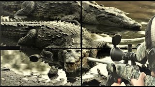 Hunting the Nile crocodile, the oldest and most powerful crawler of all time by The Art Of Hunt 283,289 views 9 months ago 6 minutes, 2 seconds