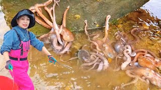 [ENG SUB] Xiao Zhang rushed to the sea  a large nest of octopus under the stone  and a huge lobster