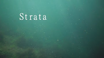 strata
