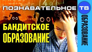 Среднее бандитское образование (Познавательное ТВ, Михаил Величко)