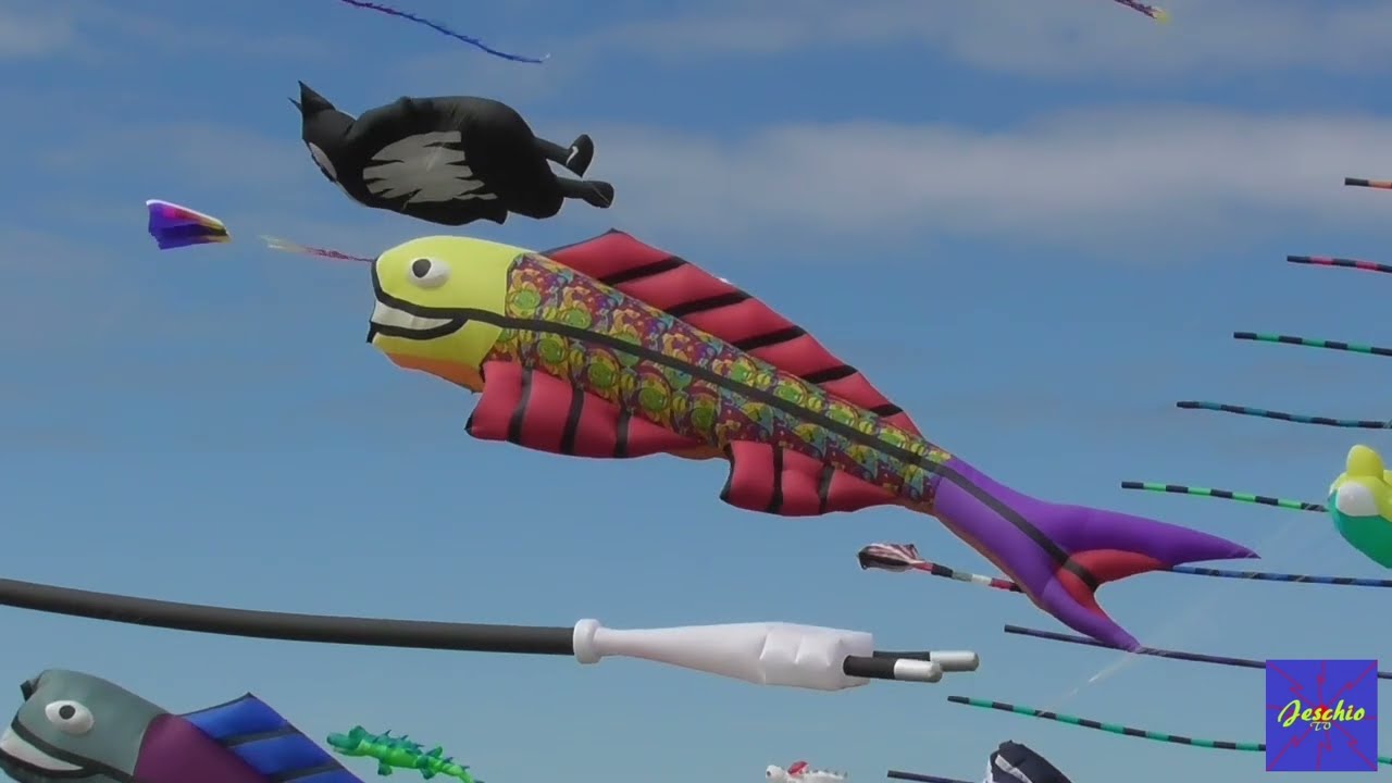 Drachenfest 2025 Norddeich, hier sind ein paar Eindrücke für euch ❤️