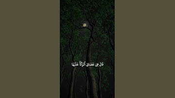 و ماتلك بيمينك يا موسى سورة طه | #الشيخ كامل يوسف البهتيمي #سورة #القرآن_الكريم #اكسبلور