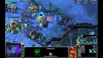 ZvP 3 Hatch Zerg play (quick max build)