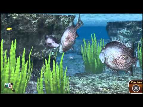 Reel Fishing: Masteru0027s Challenge Vita Gameplay