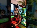 Many friends who come to my home say it feels like living in a tree house #Desktop