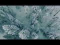 Winter Mountain Forest | Snowy Forest | Dji Mavic Air | 4K drone footage