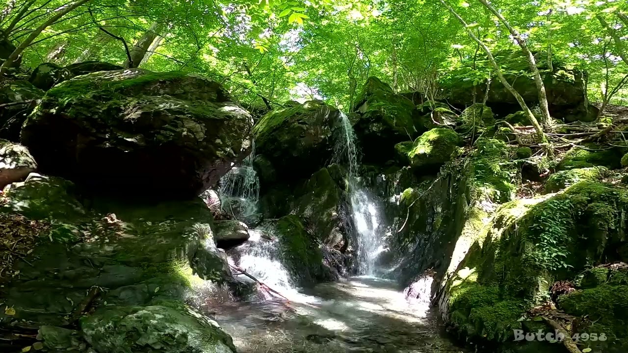 541-47】【ベンガラの滝 道中滝】【埼玉県 秩父市】 【ブッチの3分