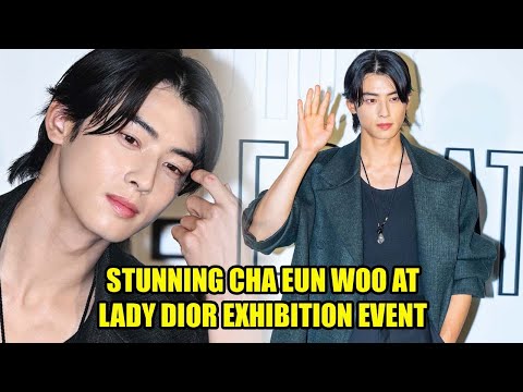 Cha Eun Woo Captivates the World with His Beauty at the Exhibition  Sponsored by Dior Beauty- MyMusicTaste