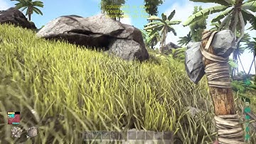 ARK: Survival Evolved ep1 turtle tame ps4