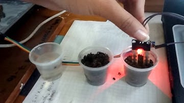 Sensor Humedad del Suelo Yl-69