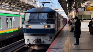 ジョイント音最高!【東海道旅客線迂回貨物】JR貨物EF210形100番台141号機+コキ20B(両)が横浜駅を低速通過するシーン(5075レ・吹A106・コンテナ輸送)2022.2.9