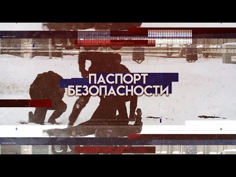 Фильм "Паспорт безопасности"