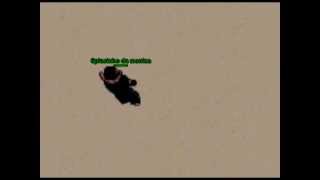 Seromontis Dead at level 343