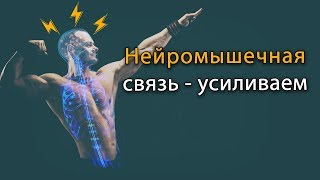 Как Усилить Нейромышечную Связь В Бодибилдинге И Тренировках В Зале