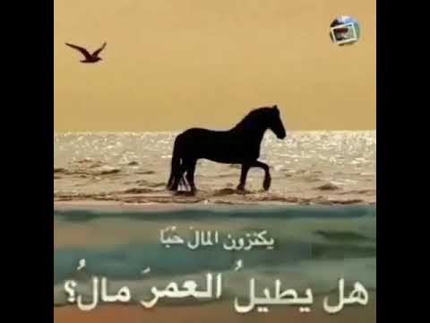 ابيات بصوت ظفر النتيفات