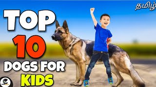 Top 10 dogs for kids | what are the 10 best dogs for kids?