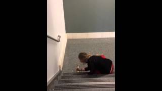 Pop Fly Engineering Challenge