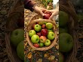 POV: You’re picking apples in the Swiss Alps 🍎🏔️ #Shorts #asmr  #villagelifeinswitzerland  #relax