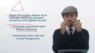 Pyschology 3 4