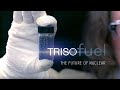 BWXT TRISO 2022