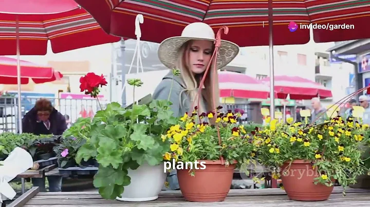 The Beauty of Bird Friendly Gardens Attracting Avian Visitors with Native Plants