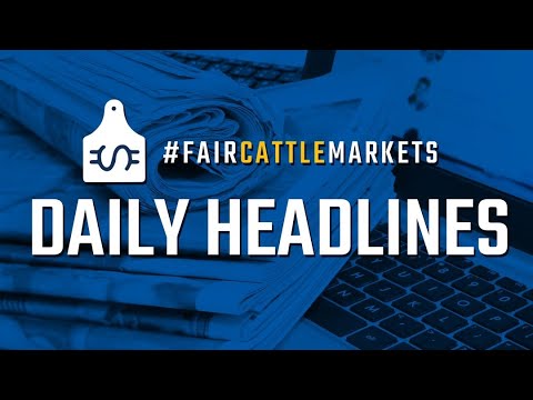 Nordamerika slank Berettigelse Daily Headlines | Fair Cattle Markets