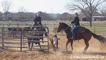 Thirdcuttingscdroyal and Stylish Masin - sorting - ValleyViewRanch.net