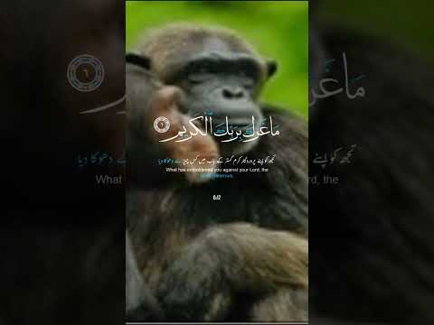 يأيها الإنسان ما غرك بربك الكريم قراءة مؤثرة جدا