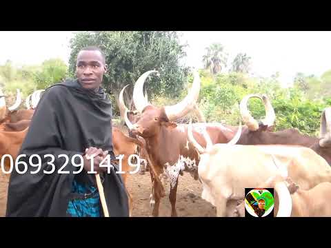 Willi Lyamacopyuta UJUMBE WA NG WAJE VIDEO OFFICIR 16 10 2023 