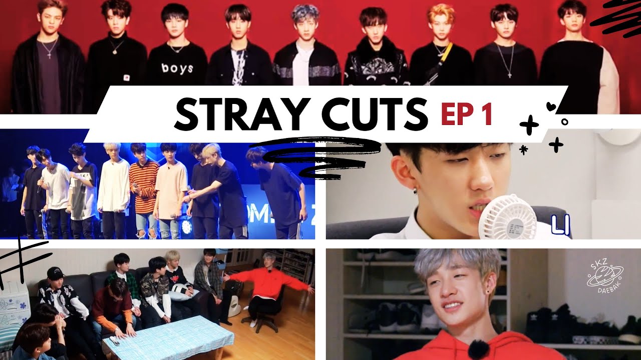 [STRAY CUTS] Episódio 01 | Stray Kids (Legendado PT-BR) - YouTube