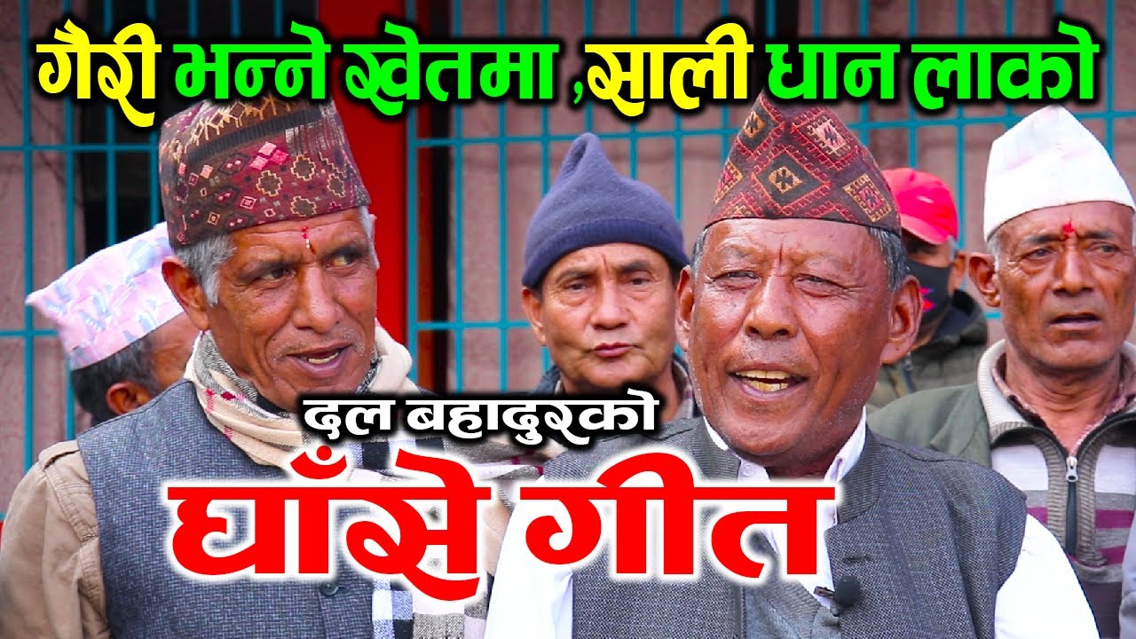 GHASE GEET : गैरी भन्ने खेतमा,साली धान लाको | घाँसे गीत |