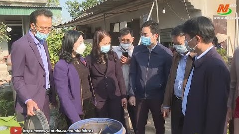 Hiệu quả mô hình "phân loại, xử lý rác thải bằng chế phẩm sinh học"