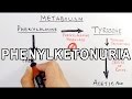 Phenylketonuria | Biochemistry &amp; Genetics