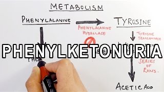 Phenylketonuria | Biochemistry & Genetics