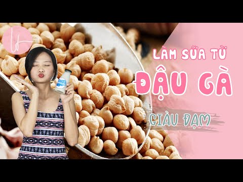 Video Hướng dẫn cách làm sữa từ hạt đậu gà giàu đạm đơn giản... - youtube