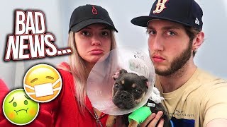 Our puppy is sick... (bad news)