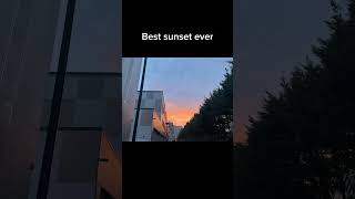Best sunset ever #shorts