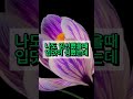 임신한 며느리 시댁에 들어오라는 시어머니