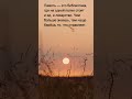 Афоризмы о жизни, одиночестве и свободе | Короткие философские размышления | Alex Lindenberg