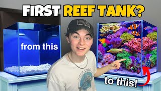 Setting up your FIRST SALTWATER AQUARIUM?