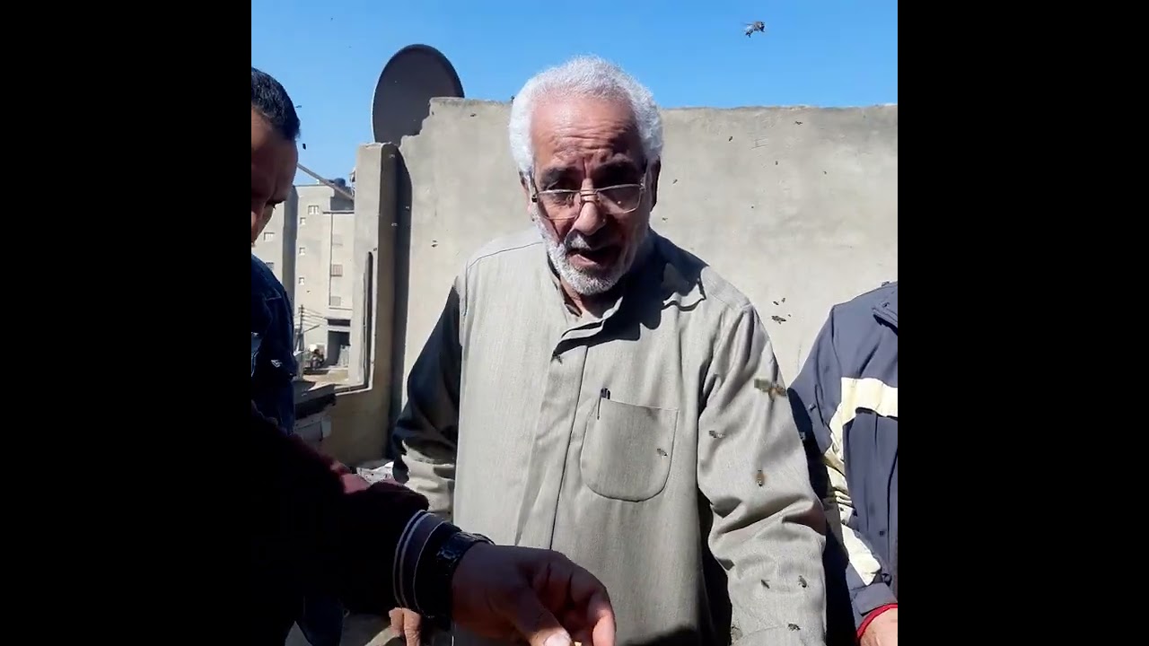 النموذج الأخير لصندوق سعيد على المتعدد الاغراض