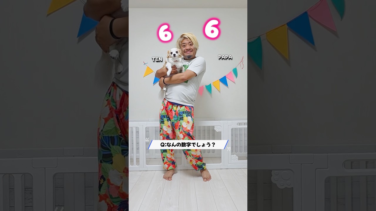 なんの数字でしょう?実は今日…🤫 【#Shorts】