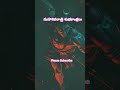 ఓం నమశివాయ🙏🙏🙏 #devotiona #trending videos# shorts