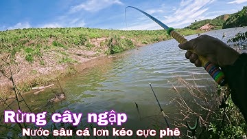 Câu Đài Cá Rô Phi Tự Nhiên Mùa Đông - Nước sâu cá  kéo cần cong vút.